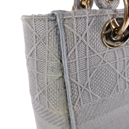 Dior Gray Embroidered Canvas Lady D-Lite