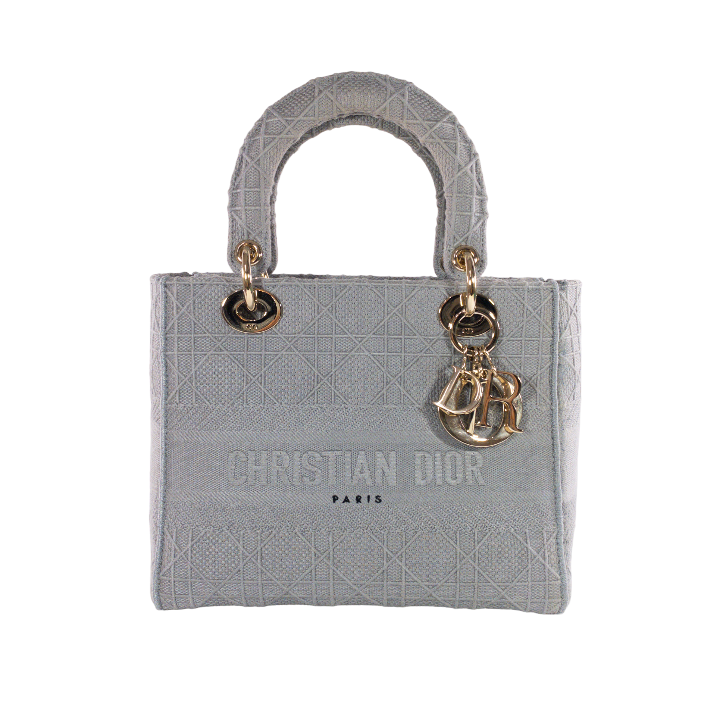 Dior Gray Embroidered Canvas Lady D-Lite