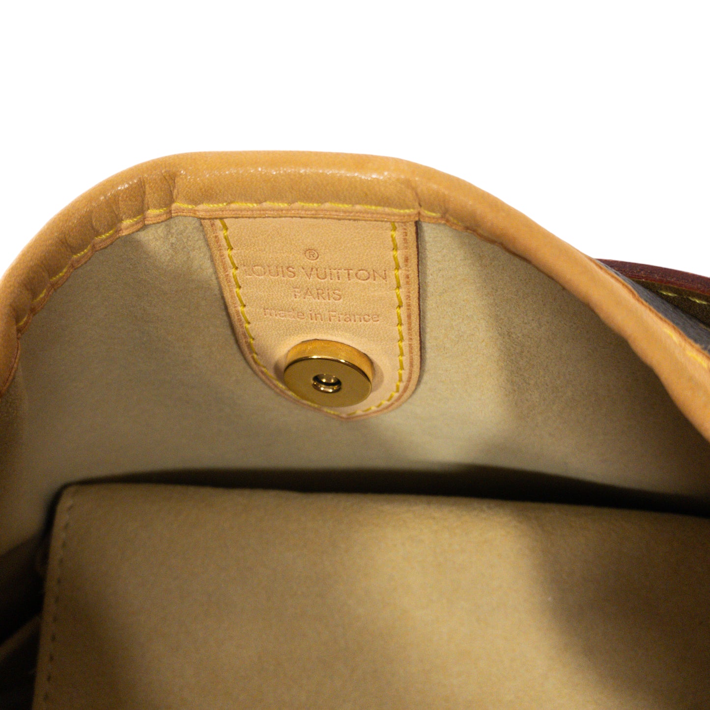 Louis Vuitton Monogram Galliera