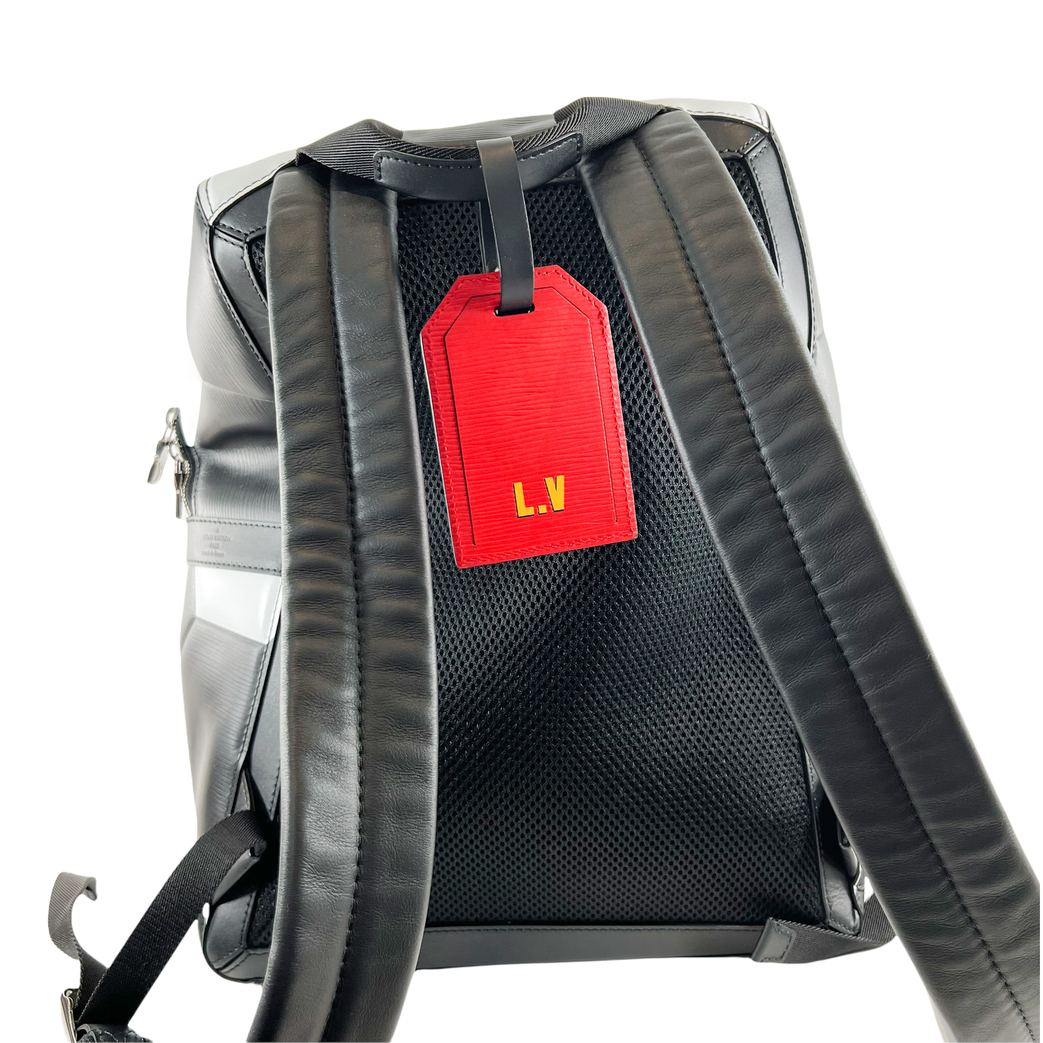 Louis Vuitton Louis Vuitton Apollo Backpack
