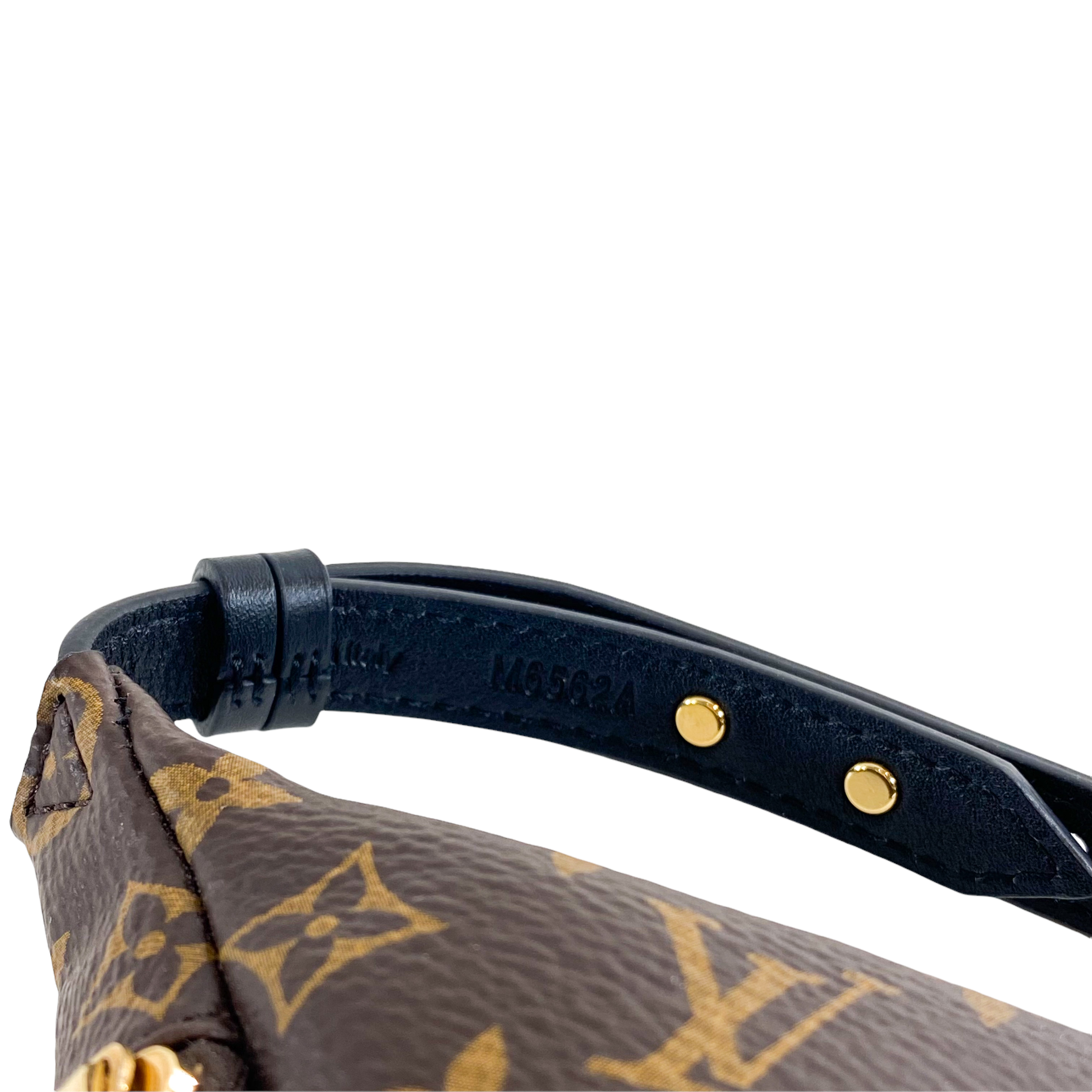 Louis Vuitton Party Bumbag Bracelet Monogram Brown in Coated Canvas/Calf  Leather with Gold-tone - US